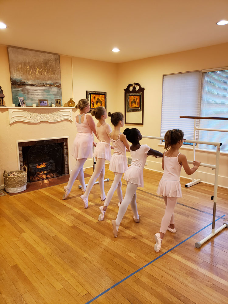 Intro to Ballet 1 barre